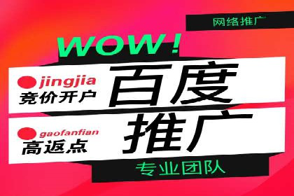 某电商平台的SEM推广策略分析