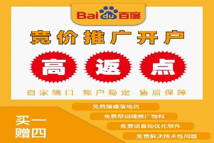 百度广告推广投入与回报的惊人案例
